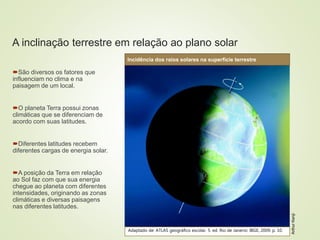 8 coberturas vegetais