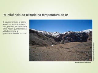 8 coberturas vegetais