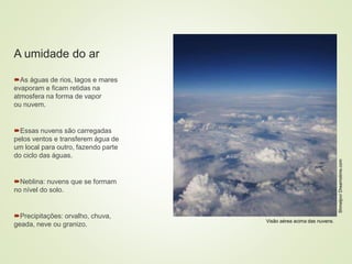 8 coberturas vegetais