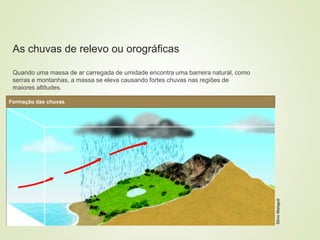 8 coberturas vegetais