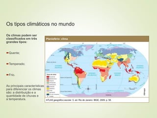 8 coberturas vegetais