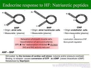 Sacubitril valsartan EK