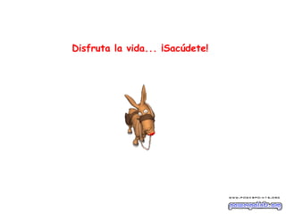 Disfruta la vida... ¡Sacúdete!   