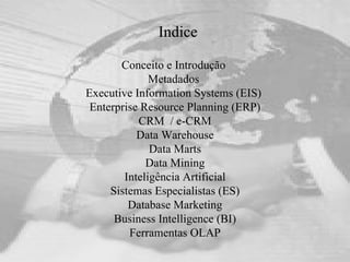 Indice Conceito e Introdução  Metadados  Executive Information Systems (EIS)  Enterprise Resource Planning (ERP) CRM  /  e-CRM Data Warehouse Data Marts Data Mining Inteligência Artificial Sistemas Especialistas (ES) Database Marketing Business Intelligence (BI) Ferramentas OLAP 