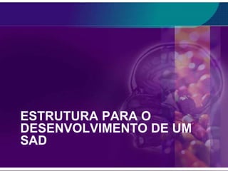 ESTRUTURA PARA O
DESENVOLVIMENTO DE UM
SAD

 