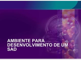 AMBIENTE PARA
DESENVOLVIMENTO DE UM
SAD

 