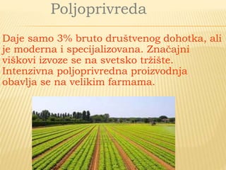 Poljoprivreda
Daje samo 3% bruto društvenog dohotka, ali
je moderna i specijalizovana. Značajni
viškovi izvoze se na svetsko tržište.
Intenzivna poljoprivredna proizvodnja
obavlja se na velikim farmama.
 
