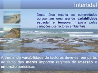 Intertidal A tremenda variabilidade de factores deve-se, em parte, ao facto das  marés  imporem regimes de  imersão  e  emersão  periódicas Nesta área restrita as comunidades apresentam uma grande  variabilidade espacial e temporal  imposta pelas variações dos factores ambientais 