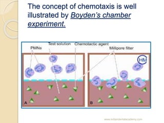 The concept of chemotaxis is well
illustrated by Boyden’s chamber
experiment.
www.indiandentalacademy.com
 