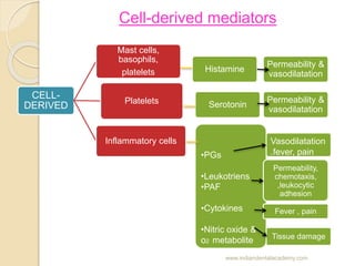 Cell-derived mediators
CELL-
DERIVED
Mast cells,
basophils,
platelets
Platelets
Inflammatory cells
Histamine
Serotonin
•PG...