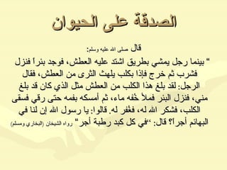 الصدقة على الحيوان قال  صلى الله عليه وسلم : ”  بينما رجل يمشي بطريق اشتد عليه العطش، فوجد بئراً فنزل فشرب ثم خرج فإذا بكلب يلهث الثرى من العطش، فقال الرجل :  لقد بلغ هذا الكلب من العطش مثل الذي كان قد بلغ مني، فنزل البئر فملأ خُفه ماء، ثم أمسكه بفمه حتى رقي فسقى الكلب، فشكر الله له، فغُفر له .  قالوا :  يا رسول الله إن لنا في البهائم أجراً؟ قال : ” في كل كبد رطبة أجر“  رواه الشيخان  ( البخاري ومسلم ) 