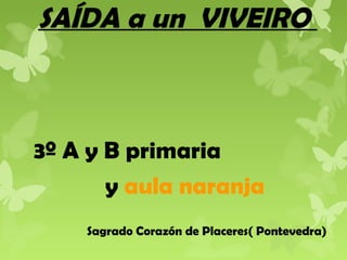 SAÍDA a un VIVEIRO

3º A y B primaria
y aula naranja
Sagrado Corazón de Placeres( Pontevedra)

 