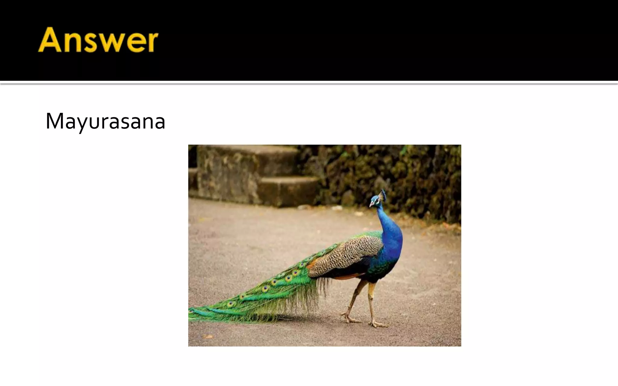 Mayurasana
 