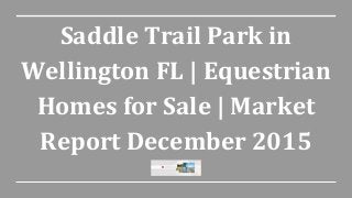 Saddle Trail Park in
Wellington FL | Equestrian
Homes for Sale | Market
Report December 2015
 