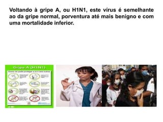 Voltando à gripe A, ou H1N1, este vírus é semelhante ao da gripe normal, porventura até mais benigno e com uma mortalidade inferior. 