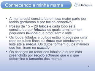 Conhecendo a minha mama A mama está constituída em sua maior parte por tecido gorduroso e por tecido conectivo. Possui de 15 – 20  lobos  e cada lobo está constituído por  lóbulos  os quais terminam em pequenos  bulbos  que produzem o leite. Os lobos, lóbulos e bulbos estão ligados por uma rede de tubos finos ou  dutos  que conduzem o leite até a  aréola .  Os dutos formam dutos maiores que terminam no  mamilo . Os espaços ao redor dos lóbulos e dutos está preenchido por  tecido adiposo  que é o que determina o tamanho das mamas. 