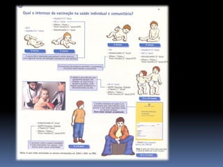 SaúDe Individual E ComunitáRia (Parte Ii)