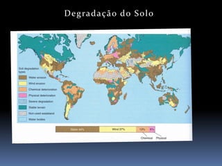 SaúDe Individual E ComunitáRia1