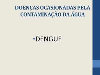 DOENÇAS OCASIONADAS PELA
CONTAMINAÇÃO DA ÁGUA
•DENGUE
 