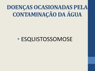 DOENÇAS OCASIONADAS PELA
CONTAMINAÇÃO DA ÁGUA
• ESQUISTOSSOMOSE
 