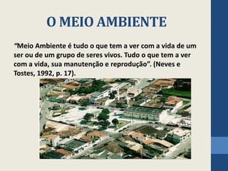 O MEIO AMBIENTE
“Meio Ambiente é tudo o que tem a ver com a vida de um
ser ou de um grupo de seres vivos. Tudo o que tem a ver
com a vida, sua manutenção e reprodução”. (Neves e
Tostes, 1992, p. 17).
 