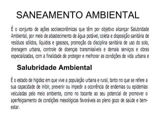 SANEAMENTO AMBIENTAL 
Salubridade Ambiental 
 