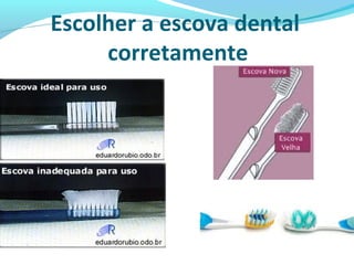 Escolher a escova dental
corretamente
 