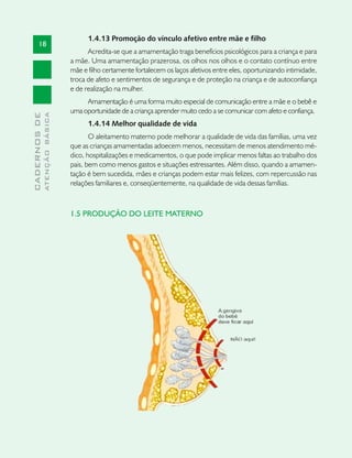1.4.13 Promoção do vínculo afetivo entre mãe e filho
       18
                                     Acredita-se que a amamentação traga benefícios psicológicos para a criança e para
                               a mãe. Uma amamentação prazerosa, os olhos nos olhos e o contato contínuo entre
                               mãe e filho certamente fortalecem os laços afetivos entre eles, oportunizando intimidade,
                               troca de afeto e sentimentos de segurança e de proteção na criança e de autoconfiança
                               e de realização na mulher.
                                    Amamentação é uma forma muito especial de comunicação entre a mãe e o bebê e
                               uma oportunidade de a criança aprender muito cedo a se comunicar com afeto e confiança.
              ATENÇÃO BÁSICA
CADERNOS DE




                                     1.4.14 Melhor qualidade de vida
                                      O aleitamento materno pode melhorar a qualidade de vida das famílias, uma vez
                               que as crianças amamentadas adoecem menos, necessitam de menos atendimento mé-
                               dico, hospitalizações e medicamentos, o que pode implicar menos faltas ao trabalho dos
                               pais, bem como menos gastos e situações estressantes. Além disso, quando a amamen-
                               tação é bem sucedida, mães e crianças podem estar mais felizes, com repercussão nas
                               relações familiares e, conseqüentemente, na qualidade de vida dessas famílias.



                               1.5 PRODUÇÃO DO LEITE MATERNO
 