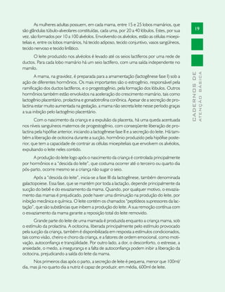 As mulheres adultas possuem, em cada mama, entre 15 e 25 lobos mamários, que
são glândulas túbulo-alveolares constituídas, cada uma, por 20 a 40 lóbulos. Estes, por sua            19
vez, são formados por 10 a 100 alvéolos. Envolvendo os alvéolos, estão as células mioepi-
teliais e, entre os lobos mamários, há tecido adiposo, tecido conjuntivo, vasos sangüíneos,
tecido nervoso e tecido linfático.
     O leite produzido nos alvéolos é levado até os seios lactíferos por uma rede de
ductos. Para cada lobo mamário há um seio lactífero, com uma saída independente no
mamilo.




                                                                                                               ATENÇÃO BÁSICA
                                                                                                 CADERNOS DE
       A mama, na gravidez, é preparada para a amamentação (lactogênese fase I) sob a
ação de diferentes hormônios. Os mais importantes são o estrogênio, responsável pela
ramificação dos ductos lactíferos, e o progestogênio, pela formação dos lóbulos. Outros
hormônios também estão envolvidos na aceleração do crescimento mamário, tais como
lactogênio placentário, prolactina e gonadotrofina coriônica. Apesar de a secreção de pro-
lactina estar muito aumentada na gestação, a mama não secreta leite nesse período graças
a sua inibição pelo lactogênio placentário.
       Com o nascimento da criança e a expulsão da placenta, há uma queda acentuada
nos níveis sanguíneos maternos de progestogênio, com conseqüente liberação de pro-
lactina pela hipófise anterior, iniciando a lactogênese fase II e a secreção do leite. Há tam-
bém a liberação de ocitocina durante a sucção, hormônio produzido pela hipófise poste-
rior, que tem a capacidade de contrair as células mioepiteliais que envolvem os alvéolos,
expulsando o leite neles contido.
      A produção do leite logo após o nascimento da criança é controlada principalmente
por hormônios e a “descida do leite”, que costuma ocorrer até o terceiro ou quarto dia
pós-parto, ocorre mesmo se a criança não sugar o seio.
       Após a “descida do leite”, inicia-se a fase III da lactogênese, também denominada
galactopoiese. Essa fase, que se mantém por toda a lactação, depende principalmente da
sucção do bebê e do esvaziamento da mama. Quando, por qualquer motivo, o esvazia-
mento das mamas é prejudicado, pode haver uma diminuição na produção do leite, por
inibição mecânica e química. O leite contém os chamados “peptídeos supressores da lac-
tação”, que são substâncias que inibem a produção do leite. A sua remoção contínua com
o esvaziamento da mama garante a reposição total do leite removido.
       Grande parte do leite de uma mamada é produzida enquanto a criança mama, sob
o estímulo da prolactina. A ocitocina, liberada principalmente pelo estímulo provocado
pela sucção da criança, também é disponibilizada em resposta a estímulos condicionados,
tais como visão, cheiro e choro da criança, e a fatores de ordem emocional, como moti-
vação, autoconfiança e tranqüilidade. Por outro lado, a dor, o desconforto, o estresse, a
ansiedade, o medo, a insegurança e a falta de autoconfiança podem inibir a liberação da
ocitocina, prejudicando a saída do leite da mama.
      Nos primeiros dias após o parto, a secreção de leite é pequena, menor que 100ml/
dia, mas já no quarto dia a nutriz é capaz de produzir, em média, 600ml de leite.
 