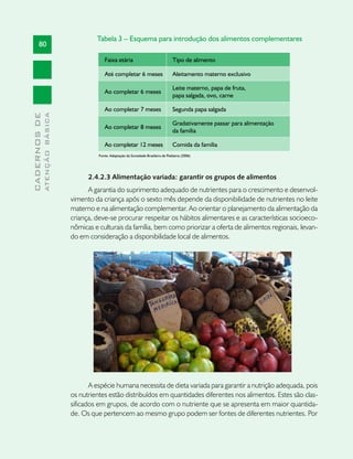 Tabela 3 – Esquema para introdução dos alimentos complementares
       80

                                            Faixa etária                                 Tipo de alimento

                                            Até completar 6 meses                        Aleitamento materno exclusivo

                                                                                         Leite materno, papa de fruta,
                                            Ao completar 6 meses
                                                                                         papa salgada, ovo, carne

                                            Ao completar 7 meses                         Segunda papa salgada
              ATENÇÃO BÁSICA
CADERNOS DE




                                                                                         Gradativamente passar para alimentação
                                            Ao completar 8 meses
                                                                                         da família

                                            Ao completar 12 meses                        Comida da família
                                         Fonte: Adaptação da Sociedade Brasileira de Pediatria (2006)




                                     2.4.2.3 Alimentação variada: garantir os grupos de alimentos
                                     A garantia do suprimento adequado de nutrientes para o crescimento e desenvol-
                               vimento da criança após o sexto mês depende da disponibilidade de nutrientes no leite
                               materno e na alimentação complementar. Ao orientar o planejamento da alimentação da
                               criança, deve-se procurar respeitar os hábitos alimentares e as características socioeco-
                               nômicas e culturais da família, bem como priorizar a oferta de alimentos regionais, levan-
                               do em consideração a disponibilidade local de alimentos.




                                      A espécie humana necessita de dieta variada para garantir a nutrição adequada, pois
                               os nutrientes estão distribuídos em quantidades diferentes nos alimentos. Estes são clas-
                               sificados em grupos, de acordo com o nutriente que se apresenta em maior quantida-
                               de. Os que pertencem ao mesmo grupo podem ser fontes de diferentes nutrientes. Por
 