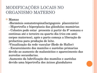 MODIFICAÇÕES LOCAIS NO ORGANISMO MATERNO Mamas -Hormônio somatotropina(lactgogenio  placentário) - Hipertrofia e hiperplasia das glândulas mamárias - Colostro pode estar  presente á partir da 8º semana e continua até o terceiro ou quarto dia (rico em anti-corpos maternos), após o parto começa a liberação de prolactina para produção de leite. -Visualização da rede vascular (Rede de Haller) - Escurecimento dos mamilos e auréolas primarias devido ao aumento de malanócitos e aparecimento das aureolas secundarias. -Aumento da lubrificação dos mamilos e auréolas devido uma hipertrofia dos ácinos glandulares  