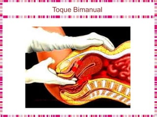 Toque Bimanual
 