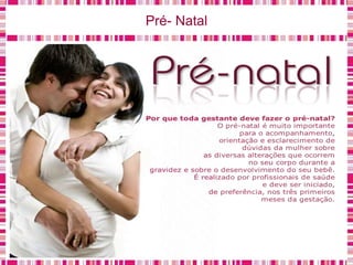 Pré- Natal
 