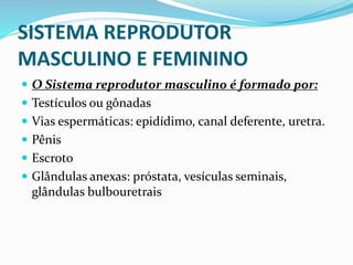 SISTEMA REPRODUTOR
MASCULINO E FEMININO
 O Sistema reprodutor masculino é formado por:
 Testículos ou gônadas
 Vias espermáticas: epidídimo, canal deferente, uretra.
 Pênis
 Escroto
 Glândulas anexas: próstata, vesículas seminais,
glândulas bulbouretrais
 
