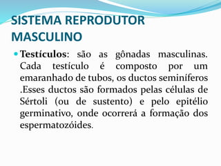 SISTEMA REPRODUTOR
MASCULINO
 Testículos: são as gônadas masculinas.
Cada testículo é composto por um
emaranhado de tubos, os ductos seminíferos
.Esses ductos são formados pelas células de
Sértoli (ou de sustento) e pelo epitélio
germinativo, onde ocorrerá a formação dos
espermatozóides.
 