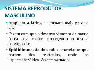 SISTEMA REPRODUTOR
MASCULINO
 Ampliam a laringe e tornam mais grave a
voz.
 Fazem com que o desenvolvimento da massa
óssea seja maior, protegendo contra a
osteoporose.
 Epidídimos: são dois tubos enovelados que
partem dos testículos, onde os
espermatozóides são armazenados.
 