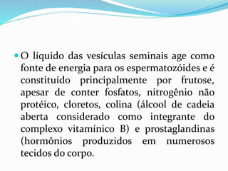 O líquido das vesículas seminais age como
fonte de energia para os espermatozóides e é
constituído principalmente por frutose,
apesar de conter fosfatos, nitrogênio não
protéico, cloretos, colina (álcool de cadeia
aberta considerado como integrante do
complexo vitamínico B) e prostaglandinas
(hormônios produzidos em numerosos
tecidos do corpo.
 