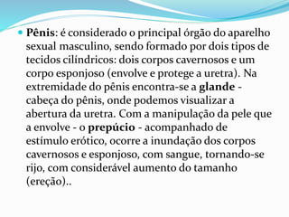 Pênis: é considerado o principal órgão do aparelho
sexual masculino, sendo formado por dois tipos de
tecidos cilíndricos: dois corpos cavernosos e um
corpo esponjoso (envolve e protege a uretra). Na
extremidade do pênis encontra-se a glande -
cabeça do pênis, onde podemos visualizar a
abertura da uretra. Com a manipulação da pele que
a envolve - o prepúcio - acompanhado de
estímulo erótico, ocorre a inundação dos corpos
cavernosos e esponjoso, com sangue, tornando-se
rijo, com considerável aumento do tamanho
(ereção)..
 