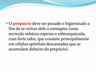  O prepúcio deve ser puxado e higienizado a
fim de se retirar dele o esmegma (uma
secreção sebácea espessa e esbranquiçada,
com forte odor, que consiste principalmente
em células epiteliais descamadas que se
acumulam debaixo do prepúcio).
 