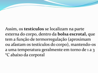 Assim, os testículos se localizam na parte
externa do corpo, dentro da bolsa escrotal, que
tem a função de termorregulação (aproximam
ou afastam os testículos do corpo), mantendo-os
a uma temperatura geralmente em torno de 1 a 3
°C abaixo da corporal
 