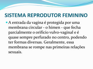 SISTEMA REPRODUTOR FEMININO
 A entrada da vagina é protegida por uma
membrana circular - o hímen - que fecha
parcialmente o orifício vulvo-vaginal e é
quase sempre perfurado no centro, podendo
ter formas diversas. Geralmente, essa
membrana se rompe nas primeiras relações
sexuais.
 