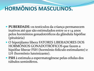 HORMÔNIOS MASCULINOS.
 PUBERDADE: os testículos da criança permanecem
inativos até que são estimulados entre 10 e 14 anos
pelos hormônios gonadotróficos da glândula hipófise
(pituitária)
 O hipotálamo libera FATORES LIBERADORES DOS
HORMÔNIOS GONADOTRÓFICOS que fazem a
hipófise liberar FSH (hormônio folículo estimulante) e
LH (hormônio luteinizante).
 FSH à estimula a espermatogênese pelas células dos
túbulos seminíferos.
 