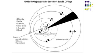 Agentes Hospedeiro
Humano
Meio
Ambiente
 