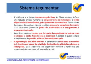 Sistema tegumentar
    • A epiderme e a derme tornam-se mais finas. As fibras elásticas sofrem
      uma redução em seu número e o colágeno torna-se mais rígido. O tecido
      adiposo subcutâneo diminui, principalmente nos membros. Quantidades
      diminuídas de capilares na pele resultam em aporte sanguíneo diminuído.
      Essas alterações provocam perda da elasticidade e o enrugamento e
      arqueamento da pele.
    • Além disso, ocorre a cerose, que é a perda da capacidade da pele de reter
      a umidade e acaba ficando seca e escamosa. A cerose é quase sempre
      acompanhada de prurido, além da descamação da pele.
    • A pigmentação dos pêlos diminui. A pele torna-se mais seca e suscetível
      às irritações por causa da atividade diminuída das glândulas sebáceas e
      sudoríparas. Essas alterações no tegumento reduzem a tolerância aos
      extremos de temperatura e à exposição ao sol.



SAÚDE PÚBLICA, SUS, ADMINISTRAÇÃO EM ENFERMAGEM
 