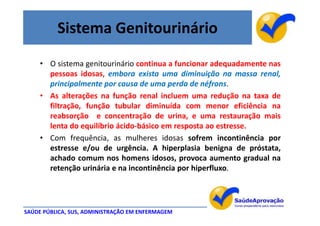 Sistema Genitourinário
     • O sistema genitourinário continua a funcionar adequadamente nas
       pessoas idosas, embora exista uma diminuição na massa renal,
       principalmente por causa de uma perda de néfrons.
     • As alterações na função renal incluem uma redução na taxa de
       filtração, função tubular diminuída com menor eficiência na
       reabsorção e concentração de urina, e uma restauração mais
       lenta do equilíbrio ácido-básico em resposta ao estresse.
     • Com frequência, as mulheres idosas sofrem incontinência por
       estresse e/ou de urgência. A hiperplasia benigna de próstata,
       achado comum nos homens idosos, provoca aumento gradual na
       retenção urinária e na incontinência por hiperfluxo.




SAÚDE PÚBLICA, SUS, ADMINISTRAÇÃO EM ENFERMAGEM
 
