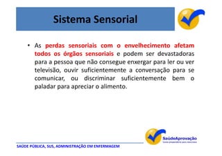 Sistema Sensorial

    • As perdas sensoriais com o envelhecimento afetam
      todos os órgãos sensoriais e podem ser devastadoras
      para a pessoa que não consegue enxergar para ler ou ver
      televisão, ouvir suficientemente a conversação para se
      comunicar, ou discriminar suficientemente bem o
      paladar para apreciar o alimento.




SAÚDE PÚBLICA, SUS, ADMINISTRAÇÃO EM ENFERMAGEM
 