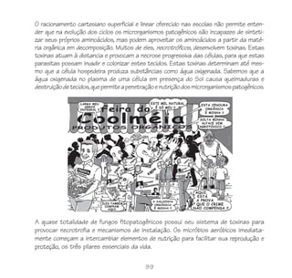 O racionamento cartesiano superficial e linear oferecido nas escolas não permite enten-
der que na evolução dos ciclos os microrganismos patogênicos são incapazes de sinteti-
zar seus próprios aminoácidos, mas podem aproveitar os aminoácidos a partir da maté-
ria orgânica em decomposição. Muitos de eles, necrotróficos, desenvolvem toxinas. Estas
toxinas atuam à distancia e provocam a necrose progressiva das células, para que estas
parasitas possam invadir e colonizar estes tecidos. Estas toxinas determinam até mes-
mo que a célula hospedeira produza substâncias como água oxigenada. Sabemos que a
água oxigenada no plasma de uma célula em presença do Sol causa queimaduras e
destruição de tecidos, que permite a penetração e nutrição dos microrganismos patogênicos.




A quase totalidade de fungos fitopatogênicos possui seu sistema de toxinas para
provocar necrotrofia e mecanismos de instalação. Os micróbios aeróbicos imediata-
mente começam a intercambiar elementos de nutrição para facilitar sua reprodução e
proteção, os três pilares essenciais da vida.

                                           99
 