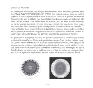 Cromas de Andisoles.
Na virada para o Século XXI, arqueólogos descobriram na bacia amazônica, grandes áreas
com “Terra Preta” (AMAZONIAN BLACK EARTH) com mais de dez por cento de matéria
orgânica. Por sua origem geológica estes solos, muito oxidados e “pobres” em minerais
(Oxysoles) não têm fertilidade, mas foram totalmente transformados por indígenas. São
mais cinquenta áreas, construídas desde há mais de cinco mil anos, através do manejo
do carvão vegetal, biomassa, minerais, cerâmicas moídas, microrganismos pelos indíge-
nas. Esta obra é tão fantástica quanto uma pirâmide ou construção de um calendário. O
mais fantástico é que essa membrana de Carbono permaneceu ativa e auto-sustentável
sem a presença do homem, enquanto as terras da agricultura industrial tendem ao
deserto por não-sustenibilidade do Carbono, na presença da ciência do homem.
Há profundos e avançados estudos, em grandes corporações e universidades criando
produtos biotecnológicos: Mistura de partículas minerais finas (rochas moídas e argi-
las), com Carbono fermentescível e carvão vegetal (carvão ativado), com agregado de
adsorventes de umidade (poliacrilato de potássio das fraldas descartáveis), inocula-
dos com diversos micróbios para aumentar a fermentação e respiração no solo e
fixação do gás carbônico para a saúde do solo e mitigar os efeitos da mudança climá-
tica. Este é o principal instrumento da nova ordem da “Revolução Verde na África”.




                                         105
 