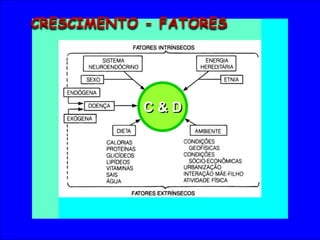 C & D
CRESCIMENTO - FATORES
 