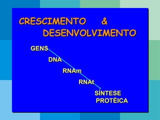 CRESCIMENTO &
DESENVOLVIMENTO
GENS
DNA
RNAm
RNAt
SÍNTESE
PROTÉICA
 